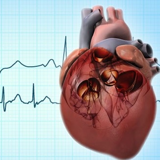 Maze Procedure for Heart Arrythmias in India - CMCS Health.